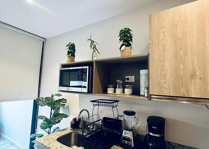Luxurious Studio, Apartment